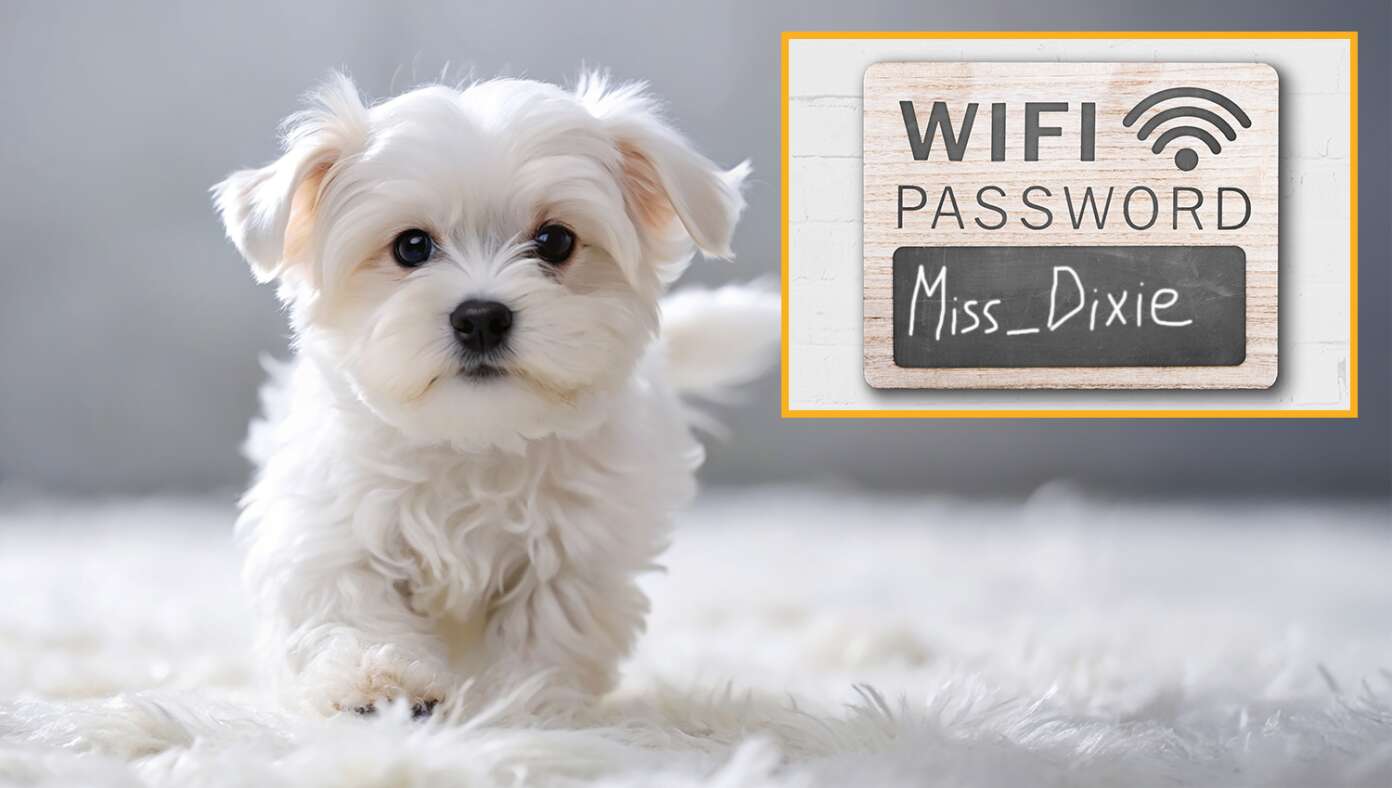 Cherished Pet Lives On As WiFi Password