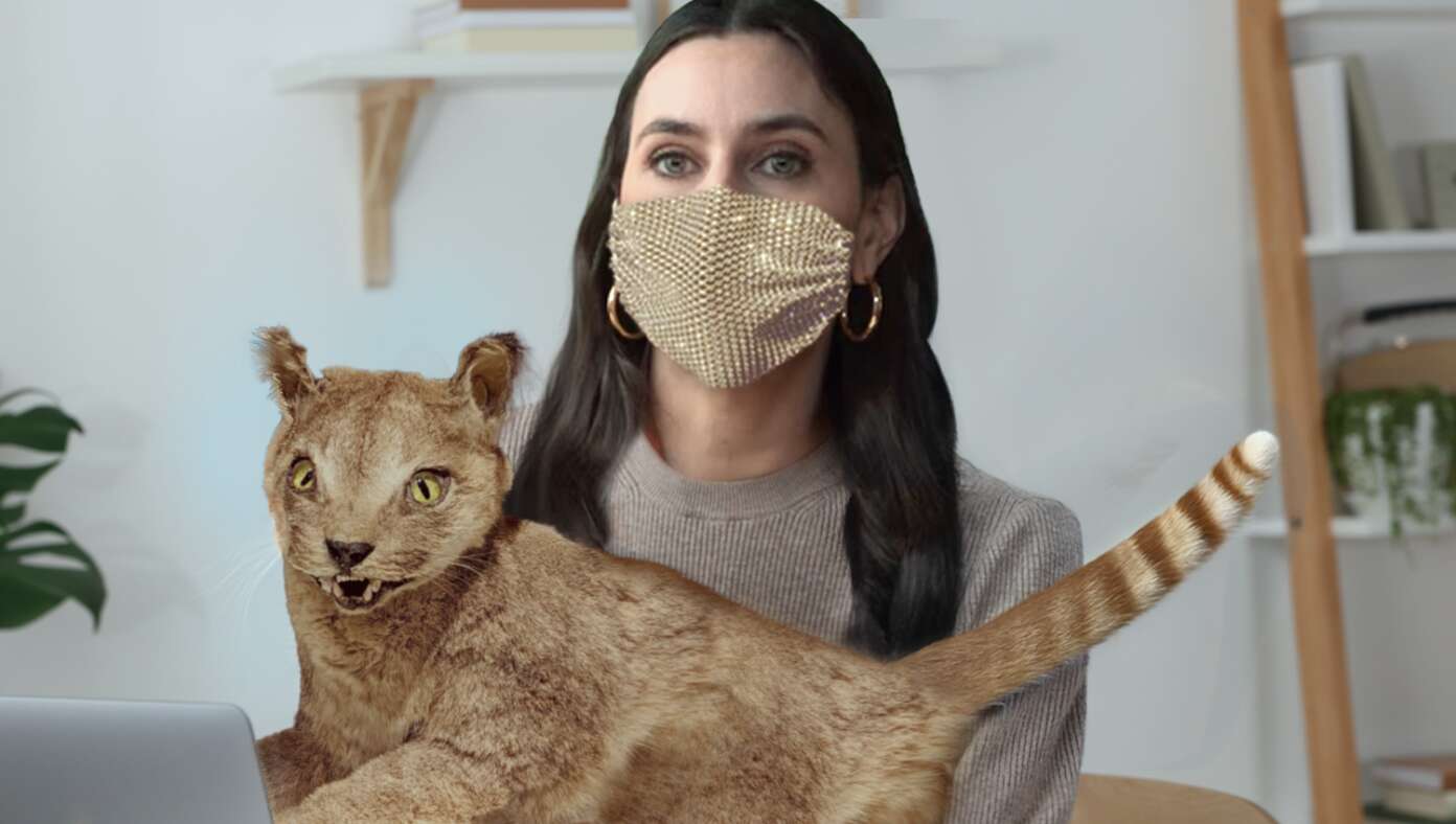 'We're Doing Great, Aren't We Mr. Friskers,' Mutters Masked Taylor Lorenz Petting Antique Taxidermied Cat