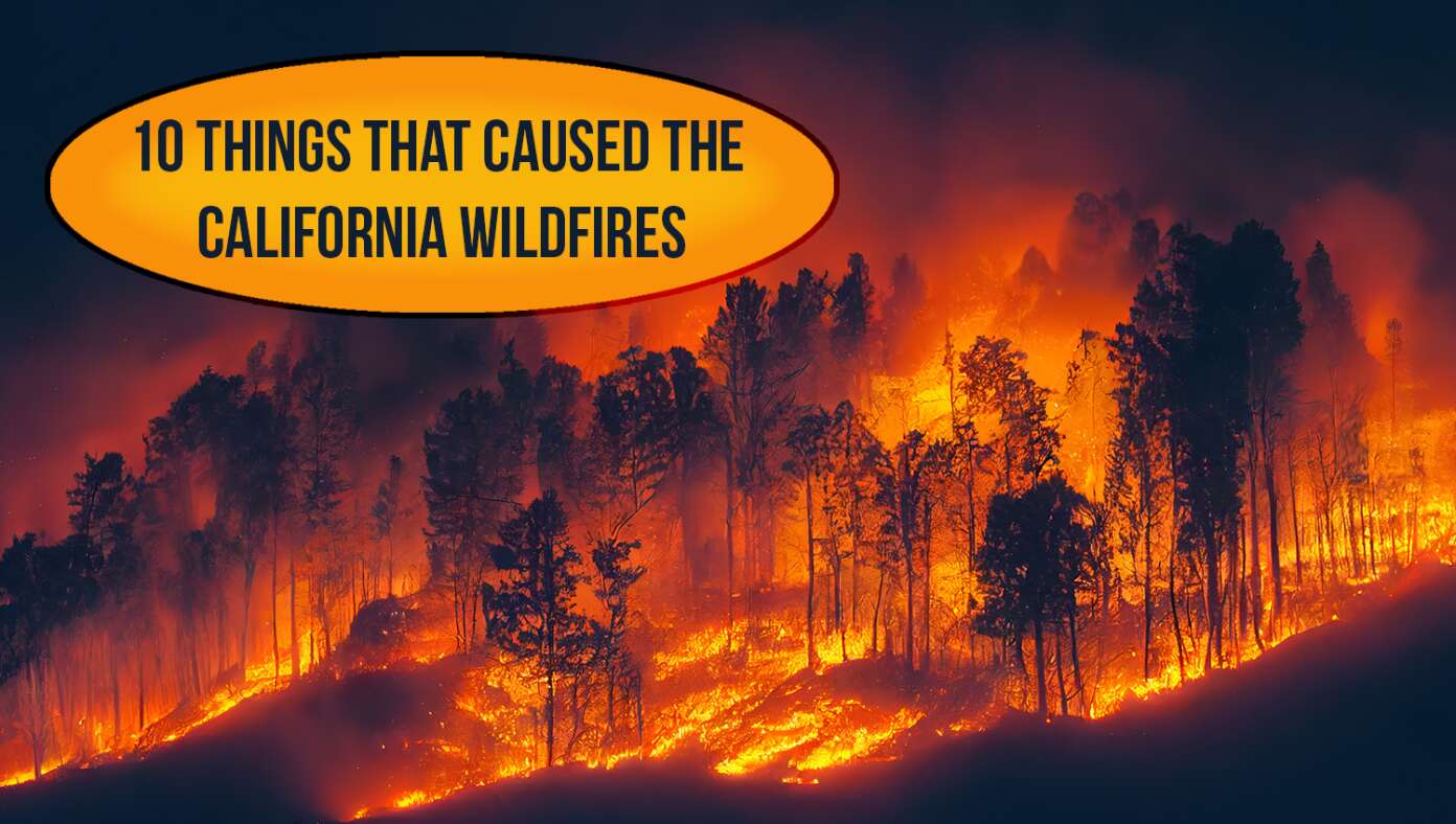 10 Things That Caused The California Wildfires