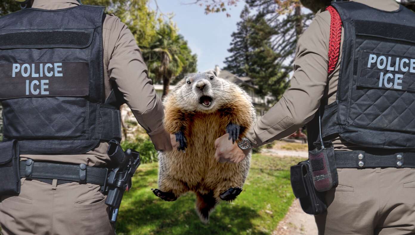 Punxsutawney Phil Deported After Birth Certificate Reveals He's From Canada