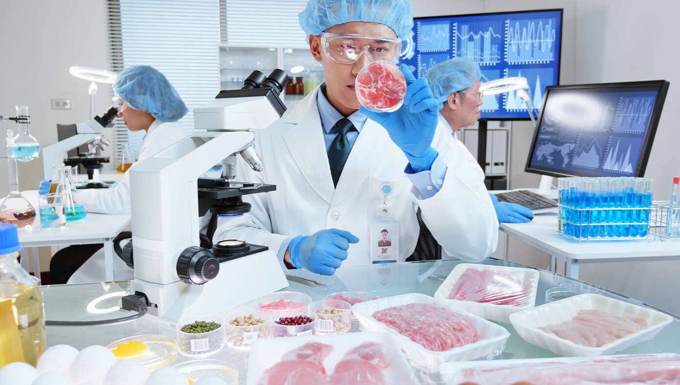 Healthy Vegan Food Carefully Constructed In Laboratory Using 957 Chemicals