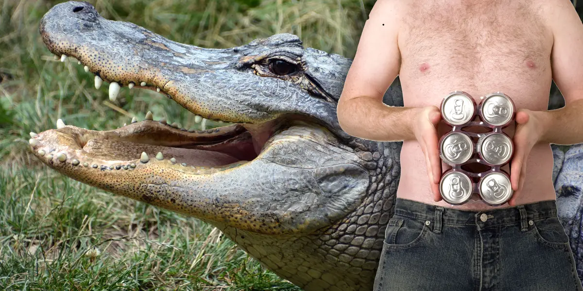 Florida Man Tries to Trade Alligator for Beer, World Briefly Makes Sense 🤪