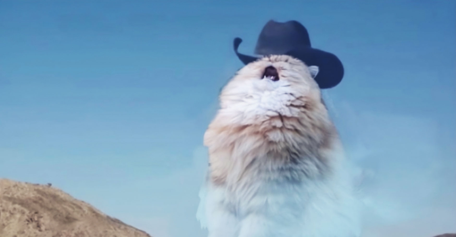 Yeehaw! Saddle up for a totally objective and definitely not rage-baiting list of country music’s biggest hat-wearers from the last quarter-century! 🤠🎤🚜