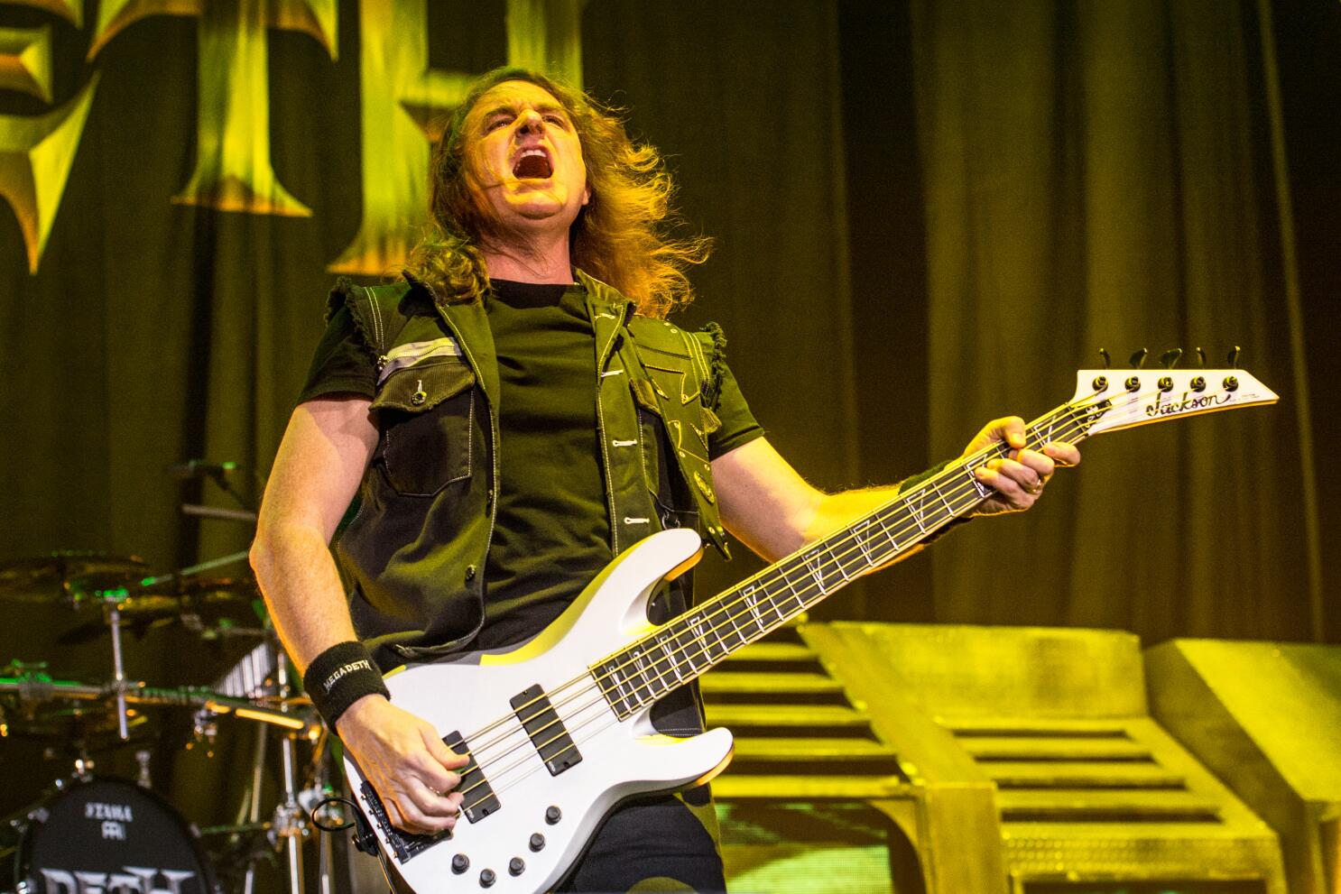 David Ellefson