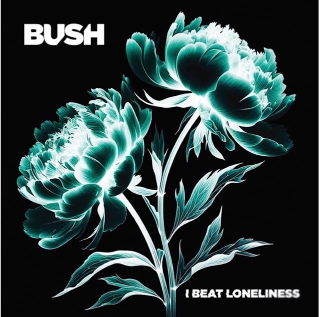 Gavin Rossdale's Lyrical Genius (Finally) Unveiled: 'I Beat Loneliness' (Probably)