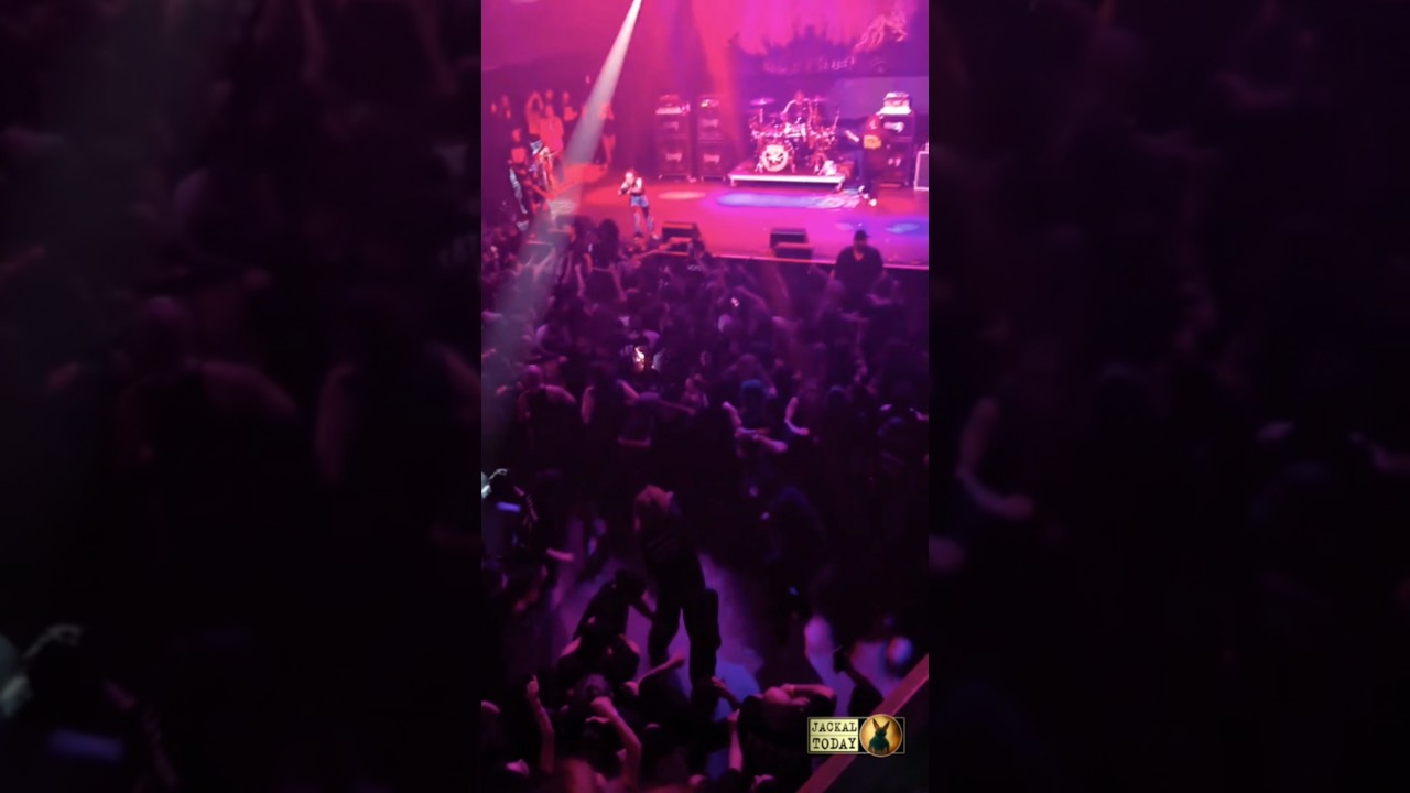 Wall of death at the PeelingFlesh gig! (Houston, Texas, 05/21/2025)