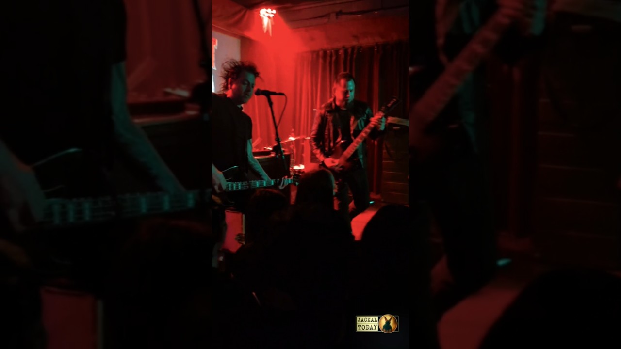 Zombeast in Charlotte, NC (05/07/2025)