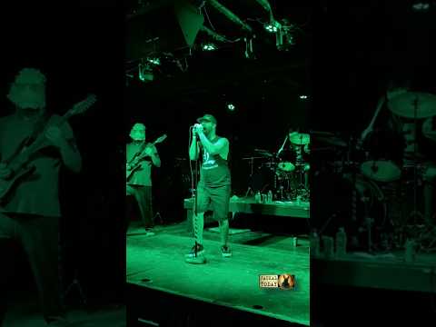 As They Perish in Spartanburg, SC (06/13/2025)