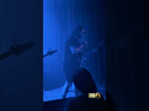Bog Loaf in Charlotte, NC (06/23/2025)