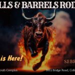 Bulls, Barrels, and Rednecks: A Rodeo Spectacle