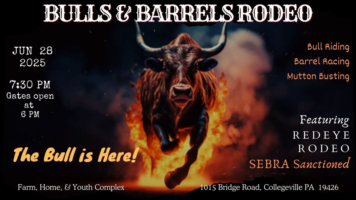 Bulls, Barrels, and Rednecks: A Rodeo Spectacle