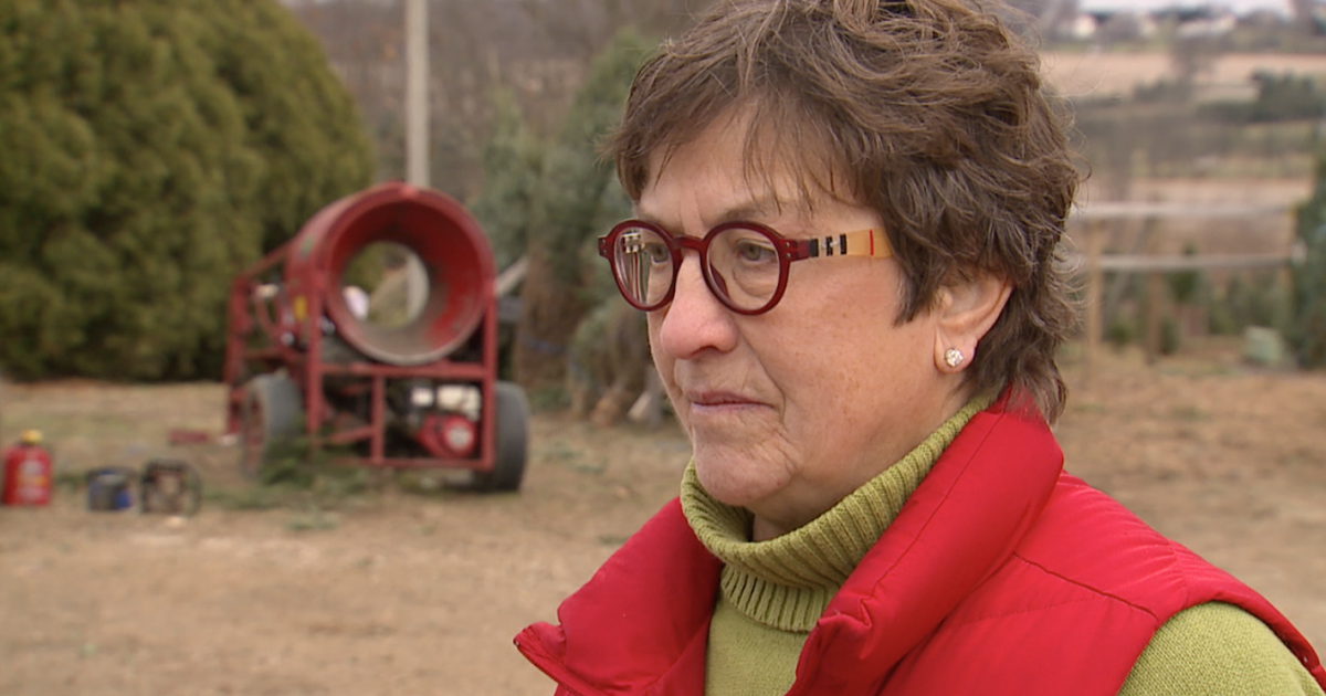 From “I Do” to “I Mow”: She Swore to Uphold the Sacred Tree-Chopping Vows