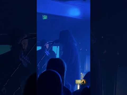 Holy Fawn in Asheville, NC (06/18/2025)