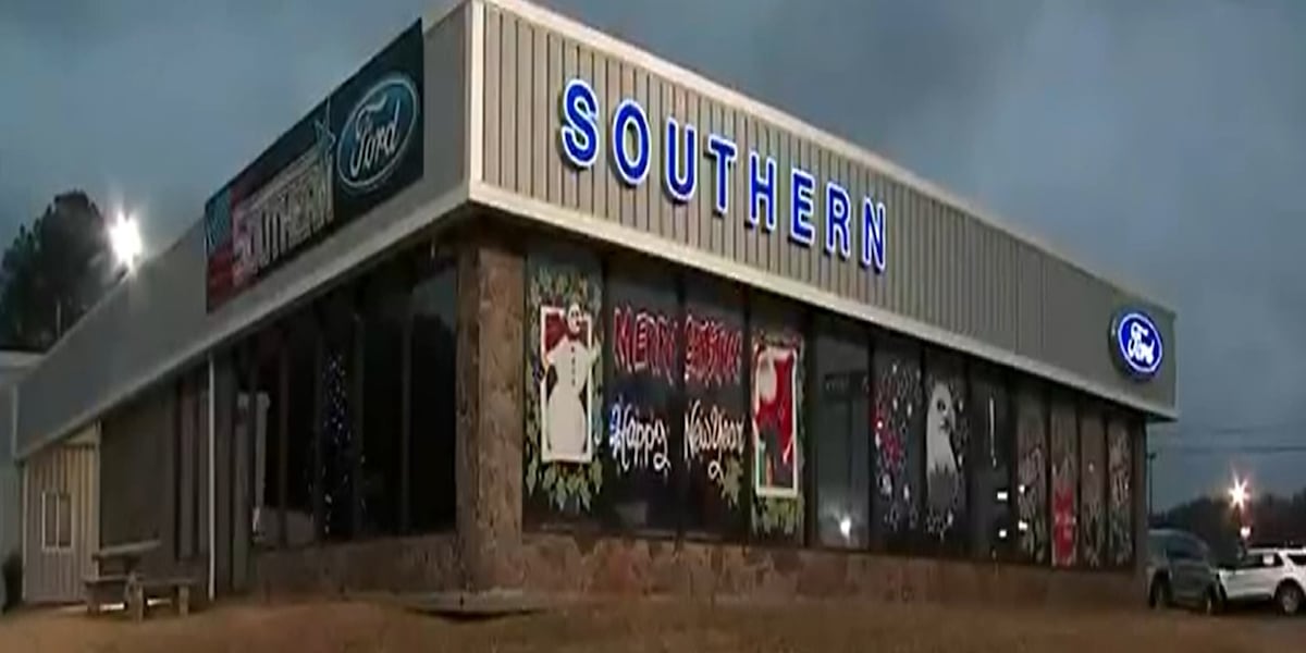 Local Car Dealership Lightly Emptied of Some Overpriced Metal