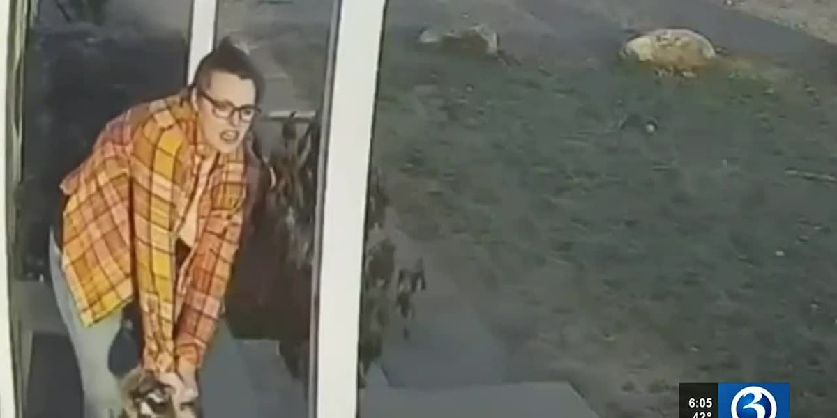Mama Bear YEETS Trash Panda Away From Tiny Human