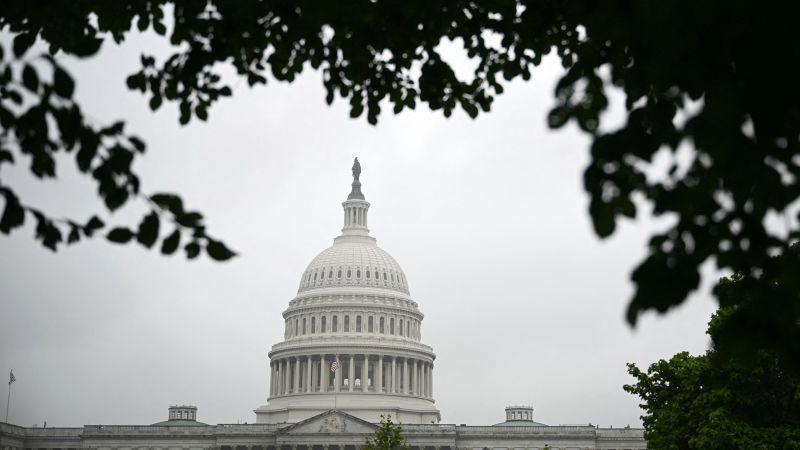 Senate Parliamentarian: The Unsung Hero (or Villain?) Wrecking Trump's Totally Awesome Agenda, According to CNN