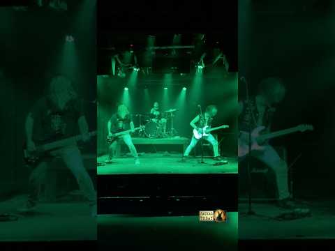 Sent to Slaughter in Spartanburg, SC (06/13/2025)