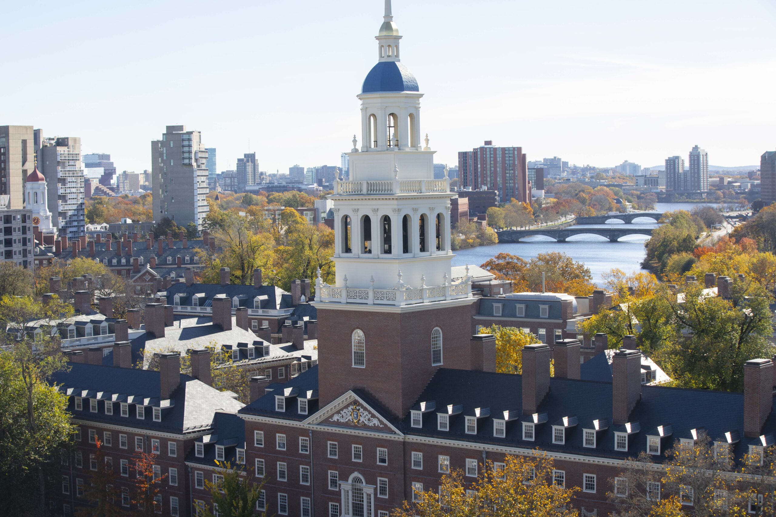 Harvard caves to woke mob, begs for forgiveness, maybe
