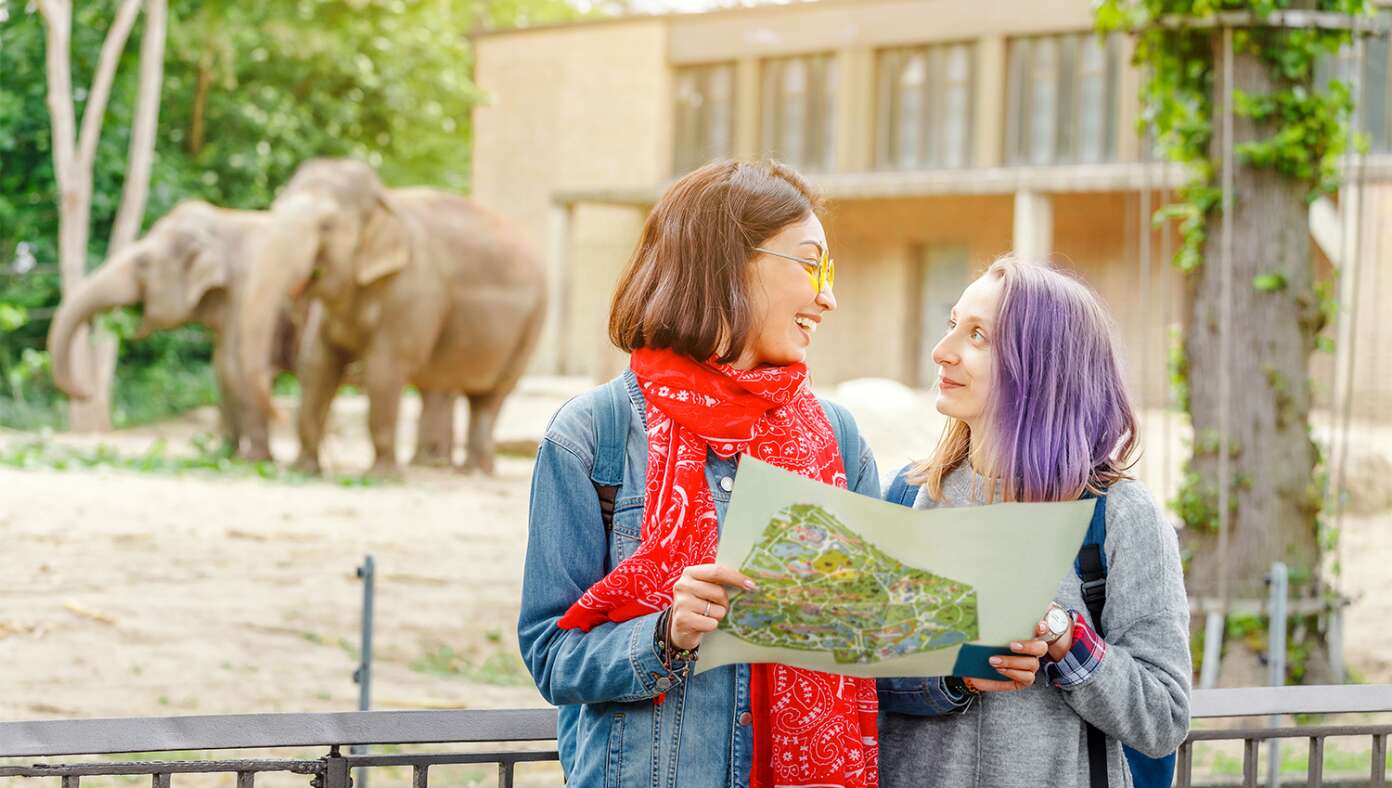 Nation’s Lesbians Announce Plan To Go To The Zoo Today