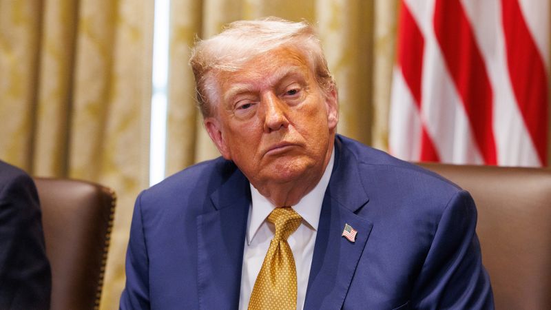 CNN Business wonders if Wall Street's Trump TACO trade is as brainy as a chicken or an egg
