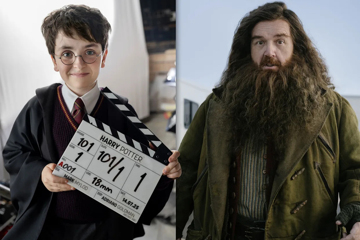 ‘Harry Potter’ Shows Off Discount Hagrid From Wish