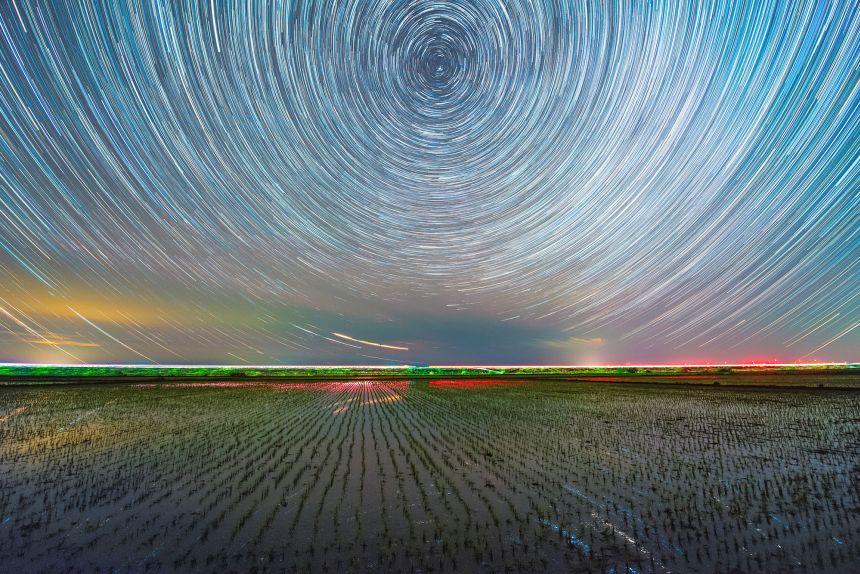 Earth’s Zoomies, Robot Besties, and Golden Tickets: Today’s LOLs