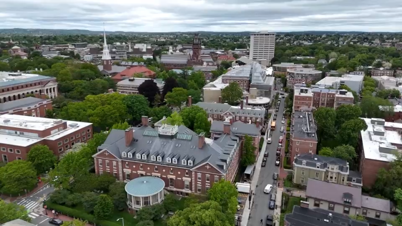 Judge to Decide if Harvard Can Still Afford Caviar After White House Funding Freeze