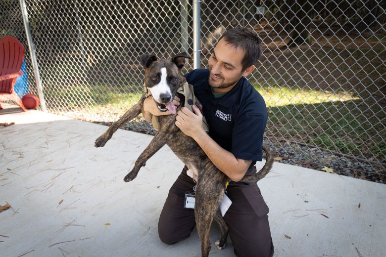 **Woof Times: Pawsitively Ruff Economy Forces Furry Friends into Foreclosure**