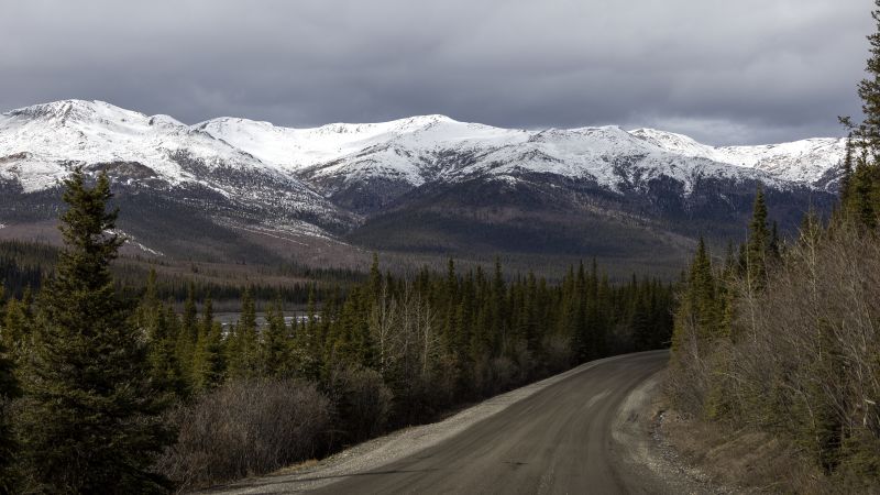 Alaskan Road Trip Turns Deadly: Moose Declares Victory Over Carload of Tourists