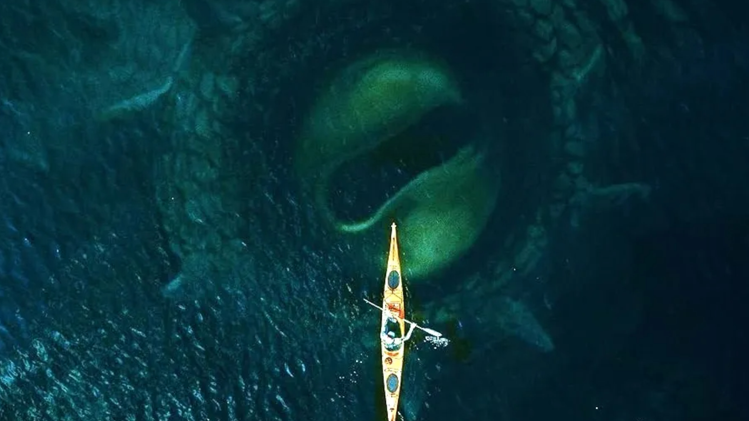 Kraken: Prepare to be mildly startled by a Scandinavian sea monster flick