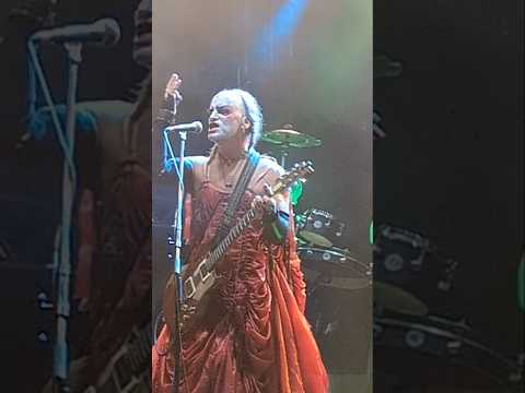 Sleepytime Gorilla Museum at Brutal Assault 2025 (08/06/2025)