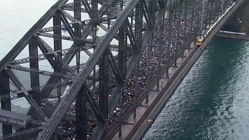 Sydney’s marchers demand world peace (and free hummus) in Gaza