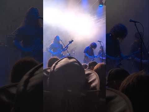 Wayfarer at Brutal Assault 2025 (08/07/2025)