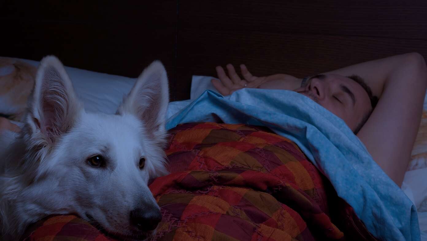 Man Who Needs To Wake Up Early Sets Dog To Vomit At 5:00 AM
