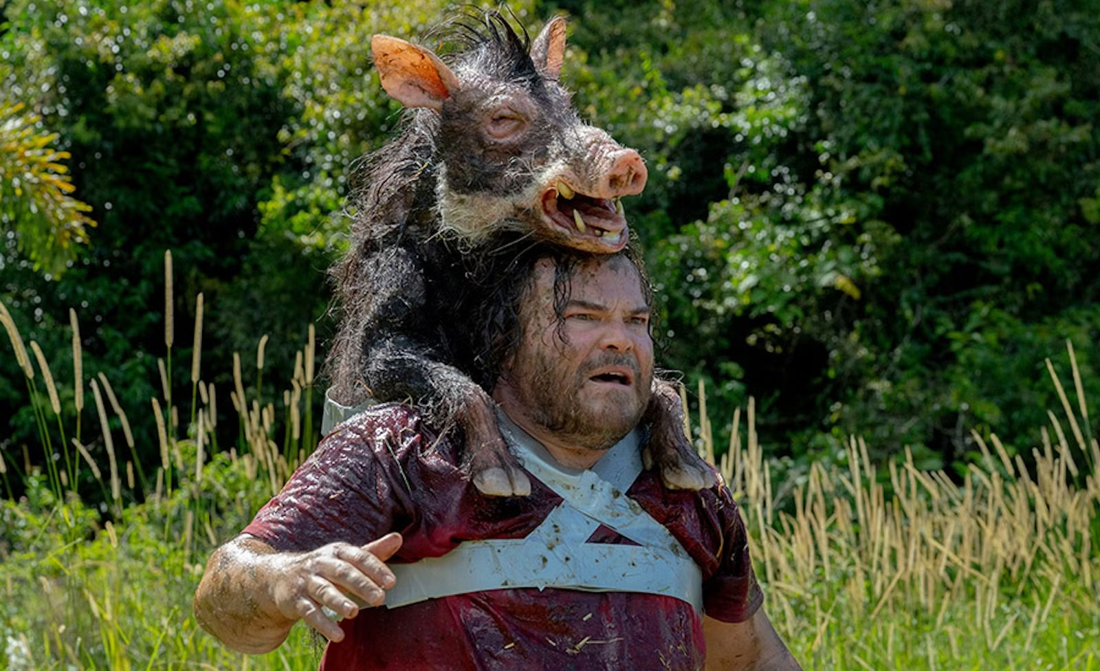 “It’s Assault, Not an Appetizer!”: Anaconda Chokes on Jack Black, Sparks Lawsuit Against Columbia Pictures