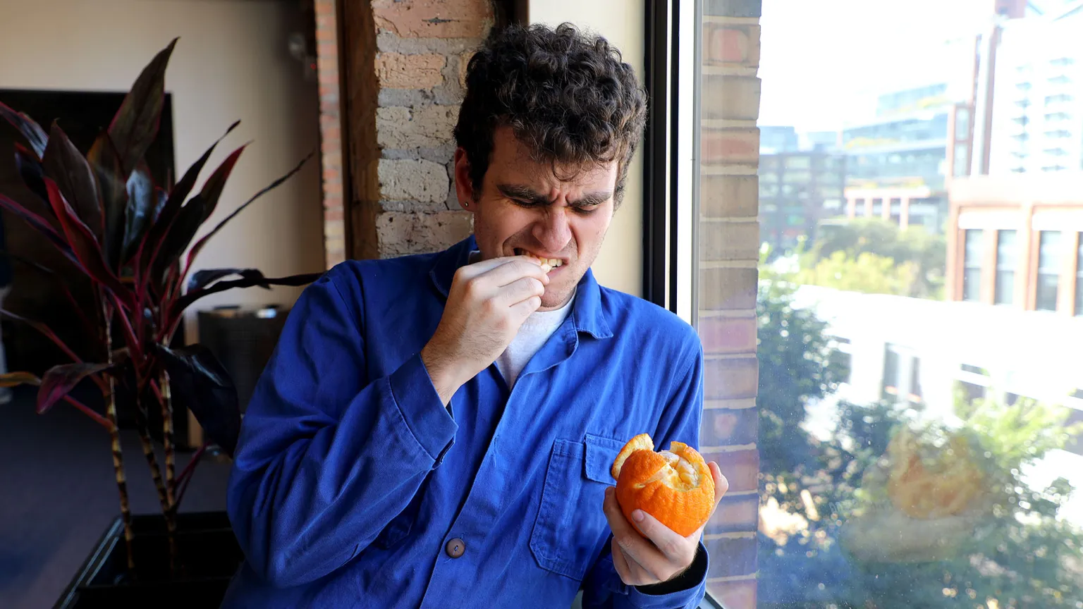 First Slice Of Orange Suggests Eating Rest Of Orange Gonna Be Real Fucking Slog