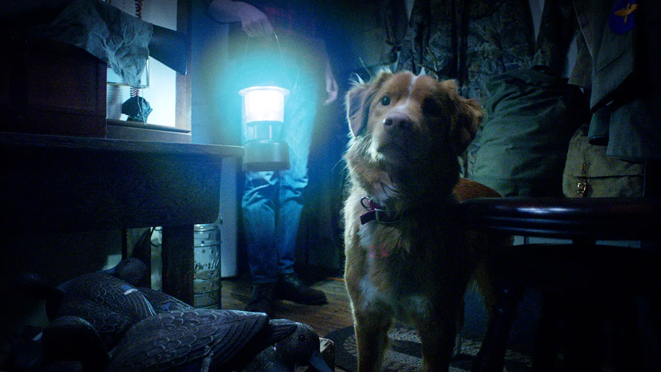 OMG! The Pooch is Pissed: “Good Boy” Gets a Poster, Still Can’t Read