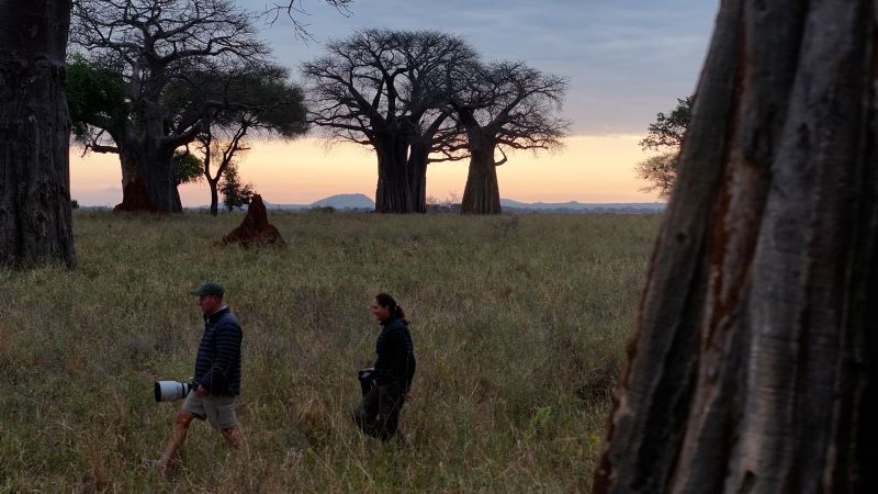 CNN’s Guide to Taking Pictures (as if you needed their help)