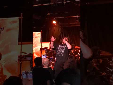 Cognitive in Raleigh, NC (09/12/2025)