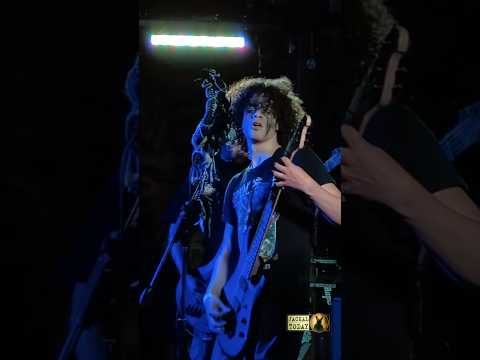 Dollhaver in Charlotte, NC (09/29/2025)