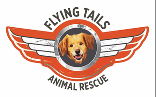 Flying Tails TV Show: More Like Flailing Fails, Am I Right