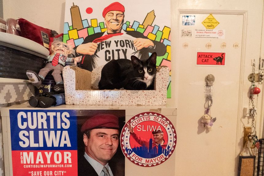 From Crazy Cat Guy to (Maybe) Crazy Mayor: This Election Just Got Furry-ous