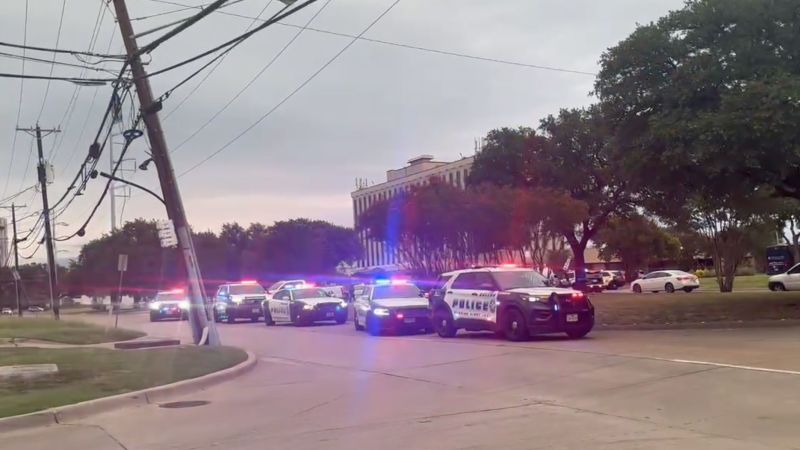 **ICE, ICE, Baby: Dallas Facility Turns Into Unintentional Shooting Range, Director Says**