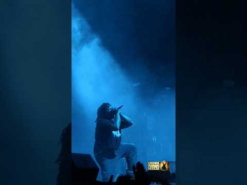 PeelingFlesh in Greensboro, NC (09/23/2025)