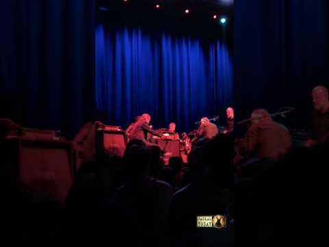 Swans in Norfolk, VA (09/06/2025)