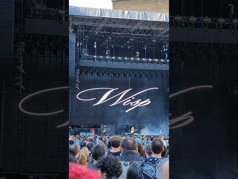 Wisp in Chicago, Il (09/01/2025)