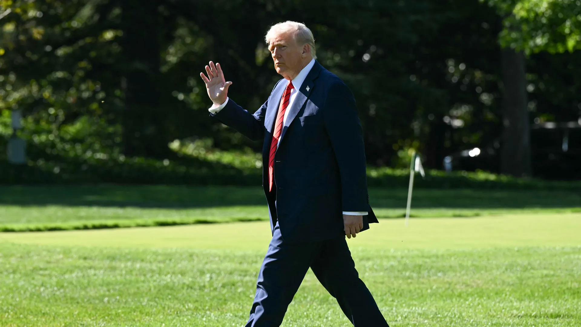 Trump Does a Free Speech Backflip—Nailed It (Said No One Ever)