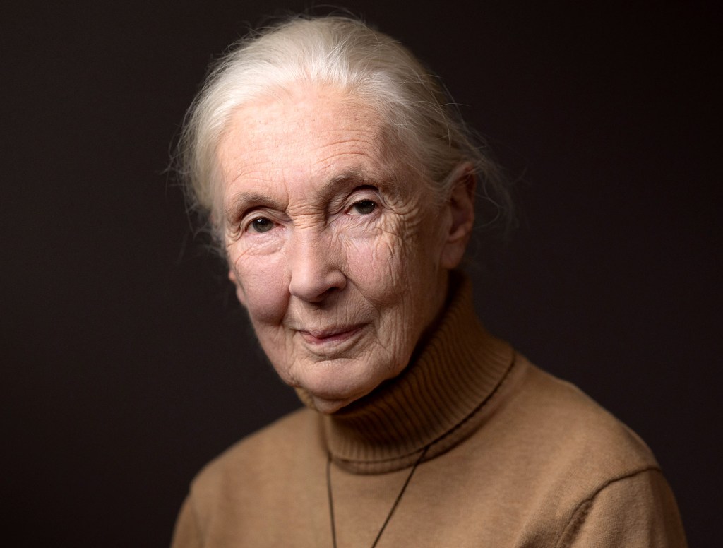 Jane Goodall SB G PH