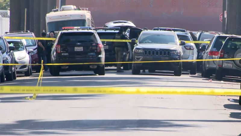 ICE, ICE, Baby: Suspect Gets a Boo-Boo, US Marshal Needs a Band-Aid