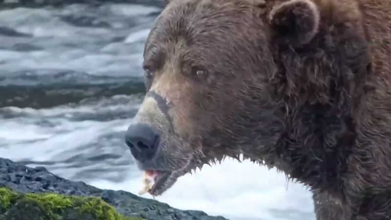OMG! The Absolute Unit of the Year Is…? You Won’t BELIEVE Who It Is! | CNN